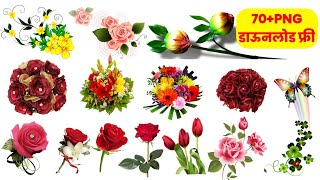 Flowers png download kare|flowers clipart png download|phool png download kare free|