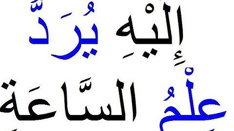 SURAH 41  سورة فصلت    AL-FUSILAT AYAH 47 TO 49
