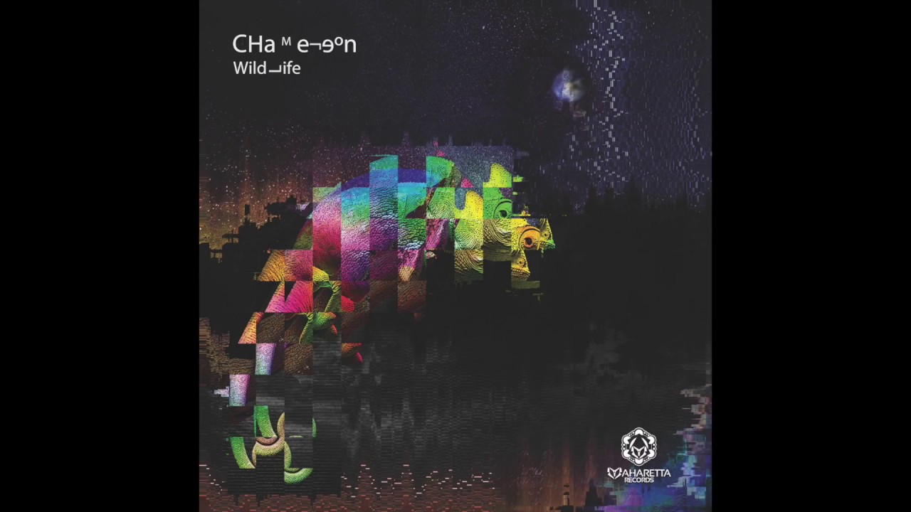 在 YouTube 上觀看「Chameleon & Master Blasters - Accelerant (Out Now)」 在 YouTube 上觀看「Chameleon & Master Blasters - Accelerant (Out Now)」