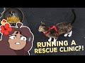 Running Our Animal Rescue CLINIC?! 🐱🩹 Animal Shelter Simulator Demo