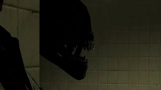 Hide And Seek (SFM) Net Worth