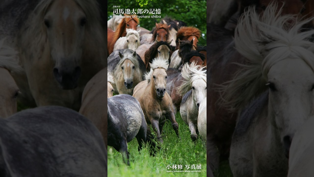 写真展「司馬遼太郎の記憶」　幕末・戦国編