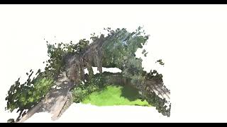 Dense point cloud: courtyard fly-around