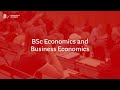 Bsc economics and business economics