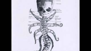 Bowel Fetus - The Lipstick Eaters