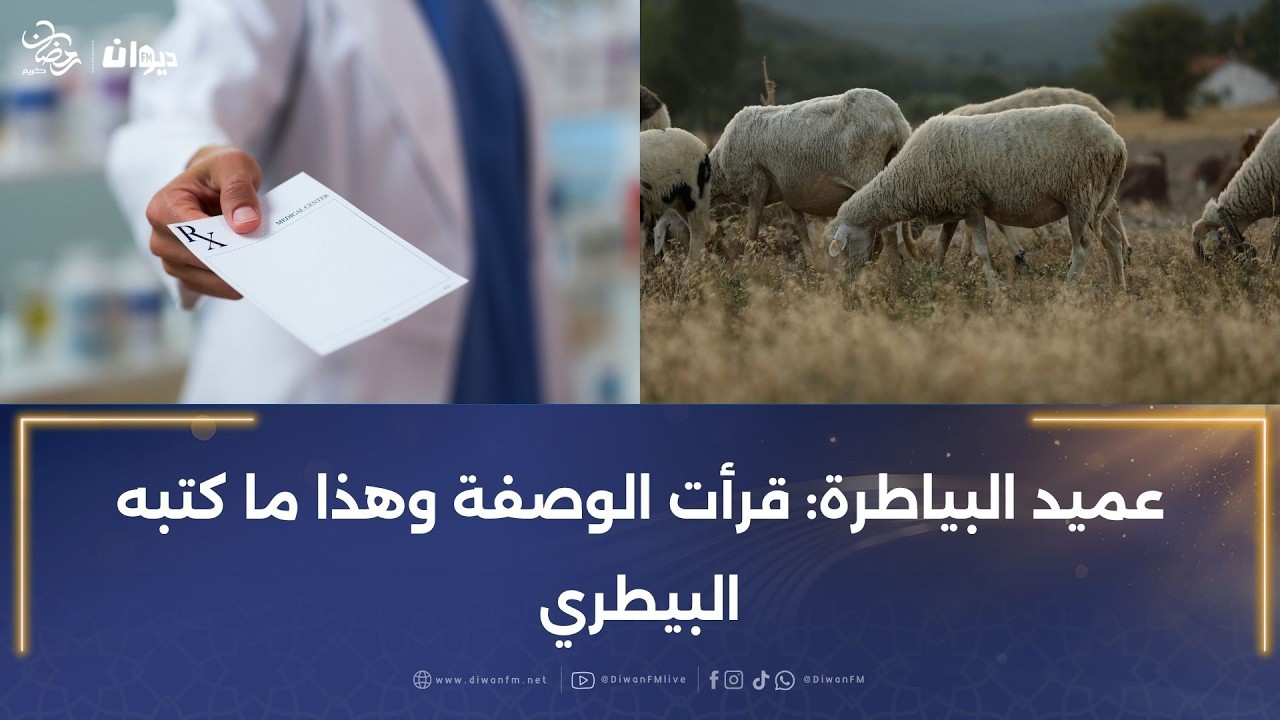 نفوق 35 رأس غنم على ملك فلاح :فهل كانت الوصفة البيطرية هي السبب؟