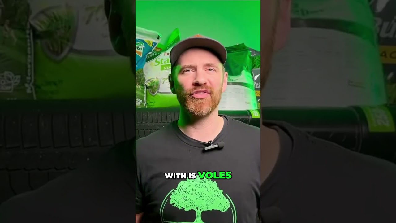 Conquering Voles in Minnesota: The Ultimate Guide for a Vole-Free Lawn