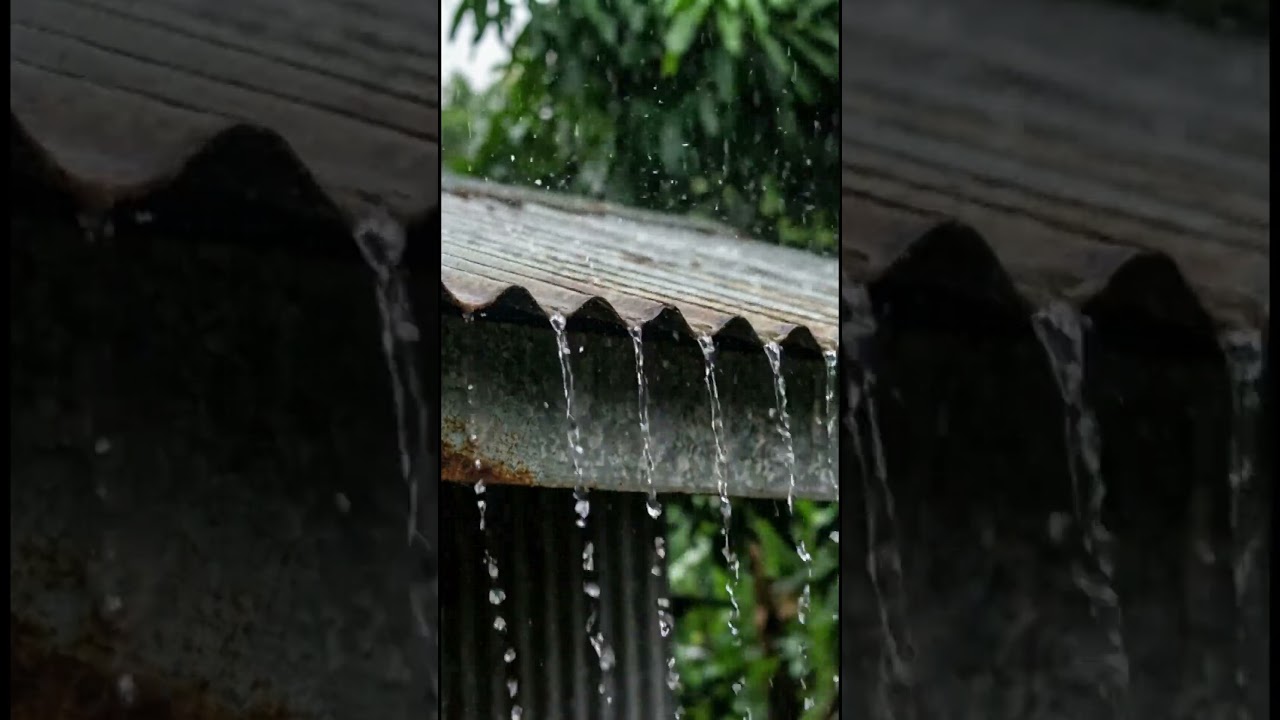 Rain on Tin Roof 🌧️ Deep Sleep in Minutes