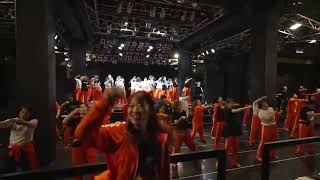 Momed The Greatest Show