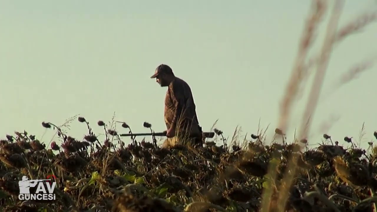 EDİRNE ÜVEYİK AVI