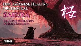 SAKURA (桜) — 1 Hour Japanese Healing Orchestra for After Work Reset & Night Recovery 🩷 【Free to Use】