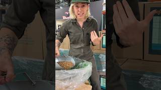 Coffee Scooping Tip Part 2: Use non-dominant arm #shorts #coffeeroaster #coffeeroasting #roastery