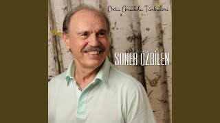 Samanlık Dolu Saman