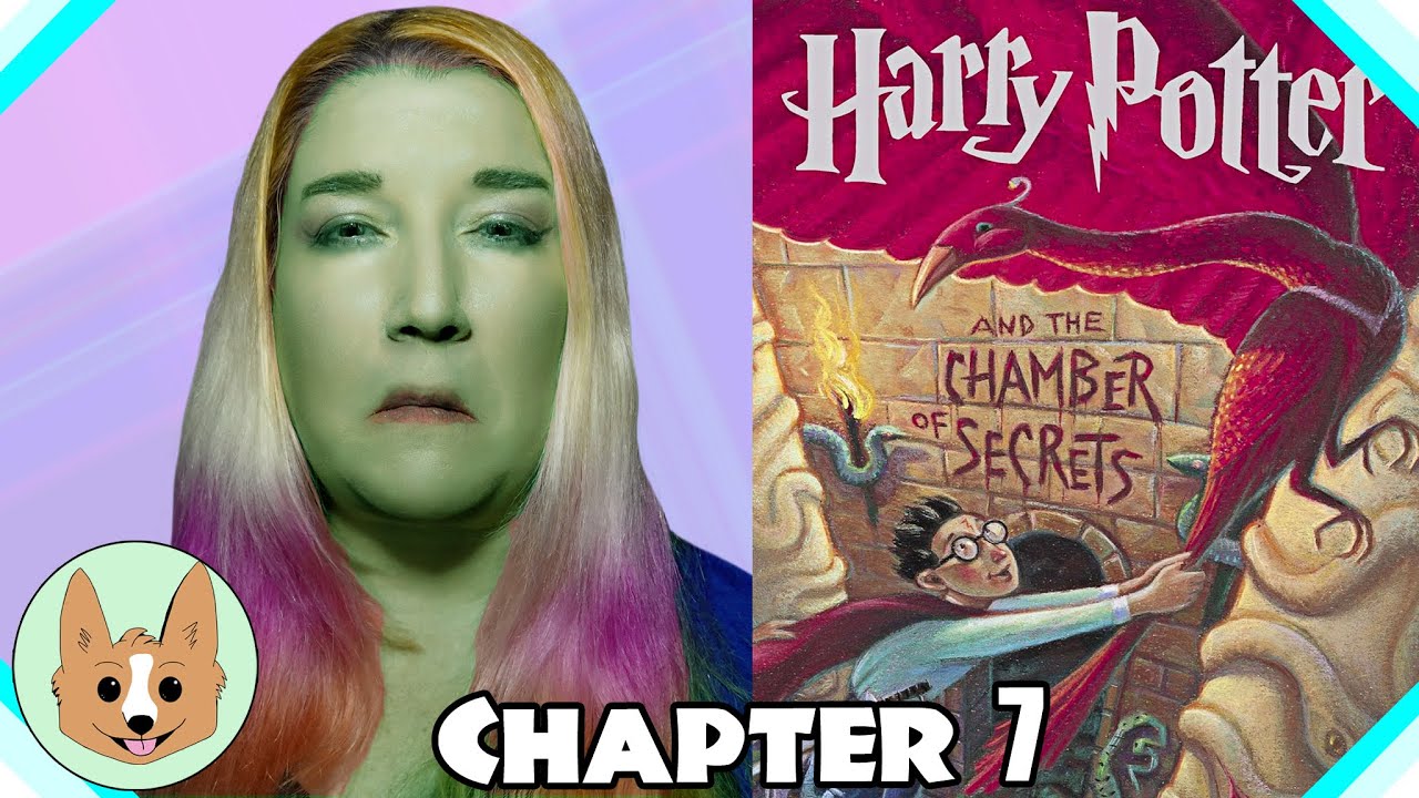 Chapter 7 Discussion Harry Potter and the Chamber of Secrets There