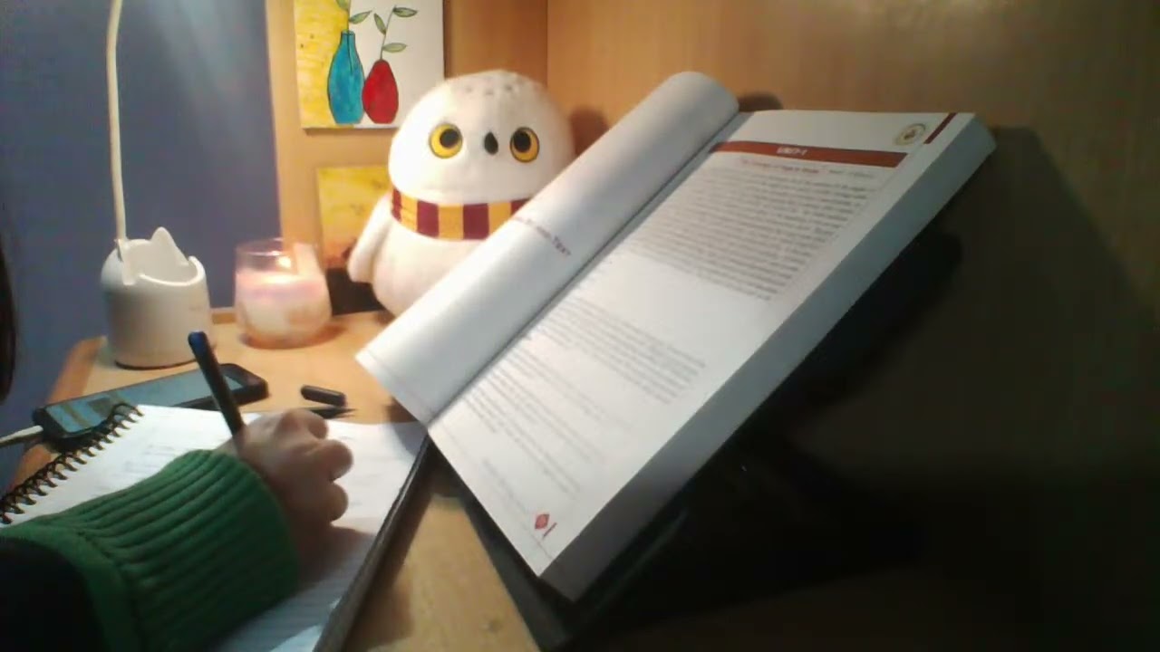 1 HOUR STUDY WITH ME | NO DISTURBANCES | NO SOUND