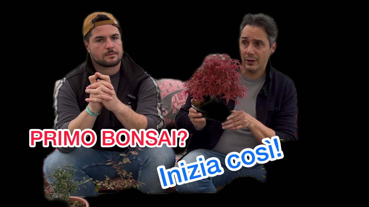 Primo bonsai da coltivare? Metti in ordine le priorità.