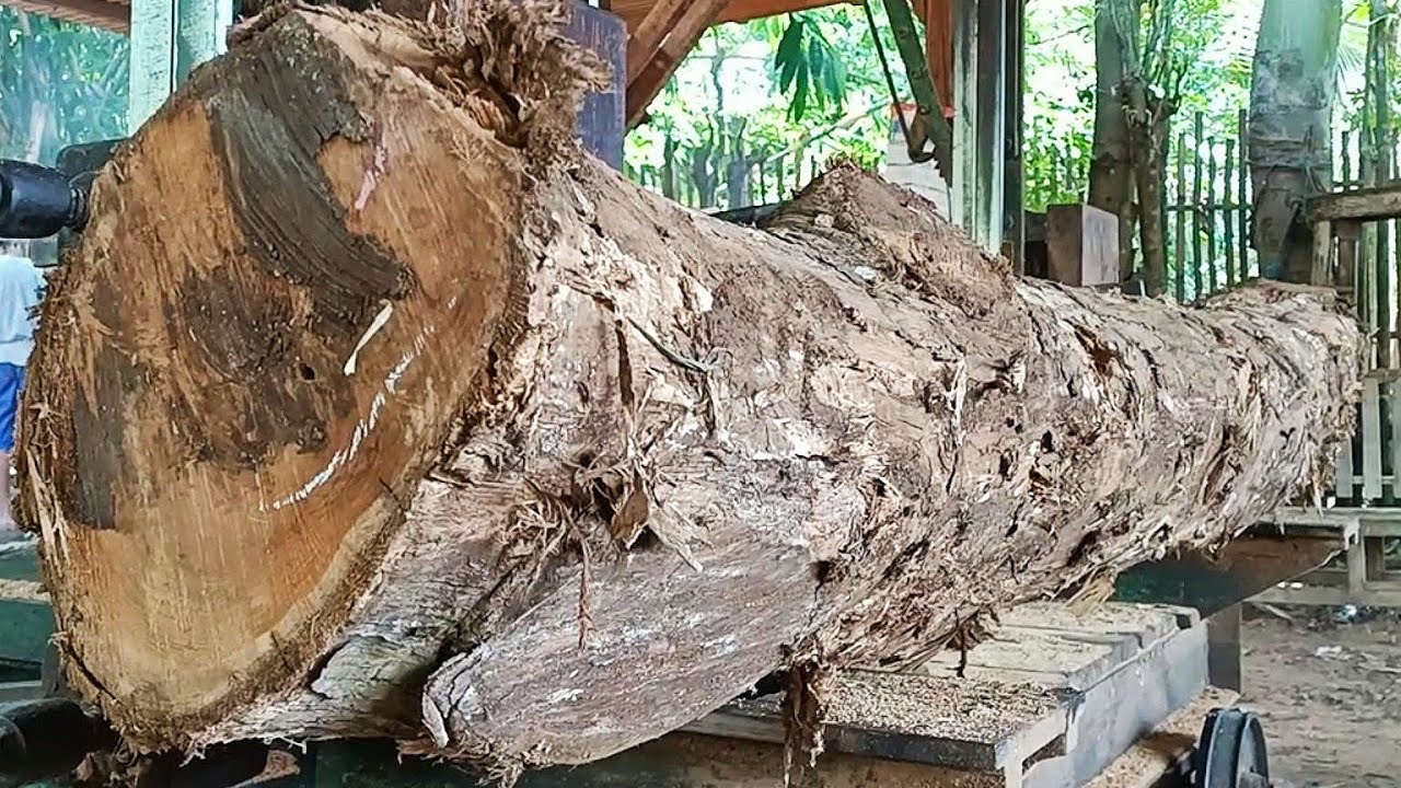 sawing old teak logs in a messy state into quality furniture materials ...