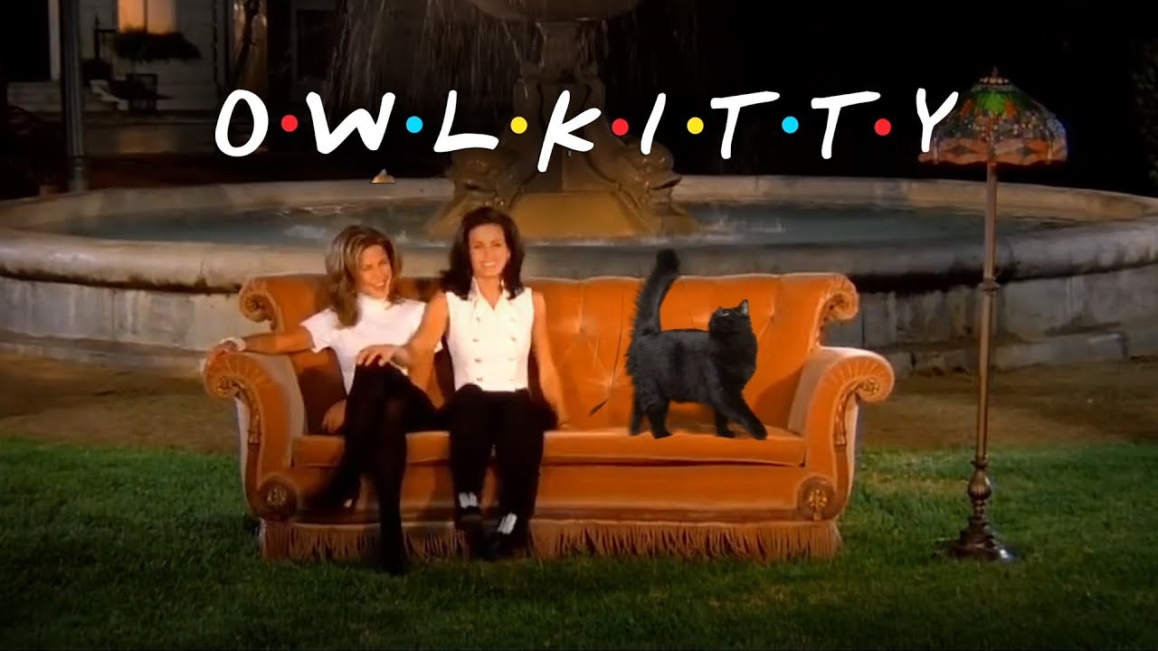 Friends + OwlKitty