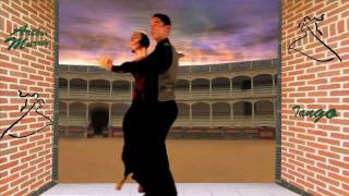 Tango Dance Video Demonstration