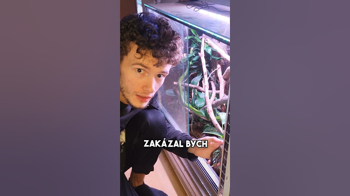 K ČEMU JE CHOV HADŮ? #fyp#had#hadi#chov#chovatel#teraristika#cz#czech#sokolik