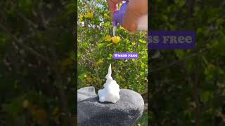 Luna Bronze Self Tanner Get Ready For Summer