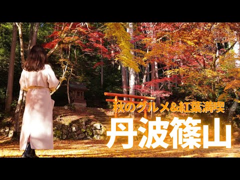 【丹波篠山Vlog】静かな朝の紅葉🍁秋の味覚をめぐる日帰り旅