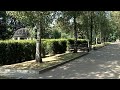 У Шодуарівському парку в Житомирі вандали понівечили берези  - Житомир.info