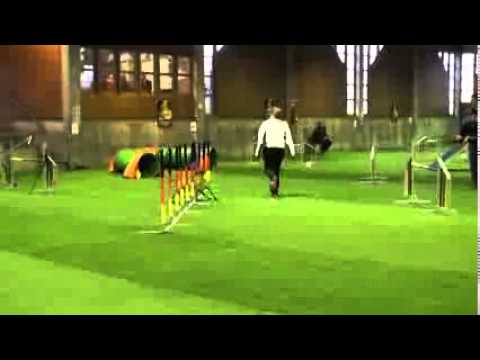 knpv berger hollandais DKBS Hallenmasters Christina Raab und Enie 02.02.2013