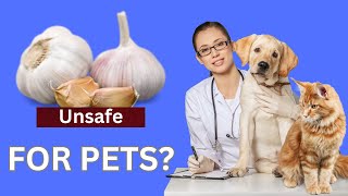 Garlic for Cats and Dogs | Good or Bad for Your Pet? Garlic For Dogs And Cats Good Or Bad