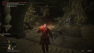 Elden Ring - Help! Zombie!