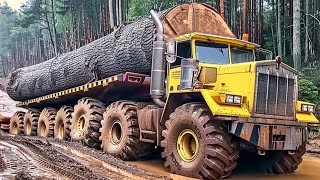 Skills in driving heavy timber trucks over dangerous mountains