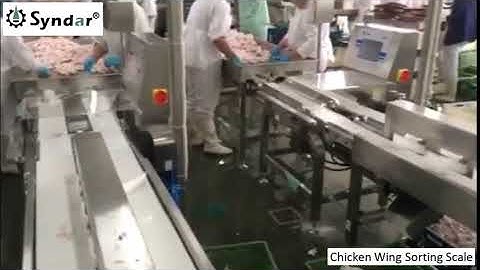 Chicken Wing Weight Sorting Checkweigher