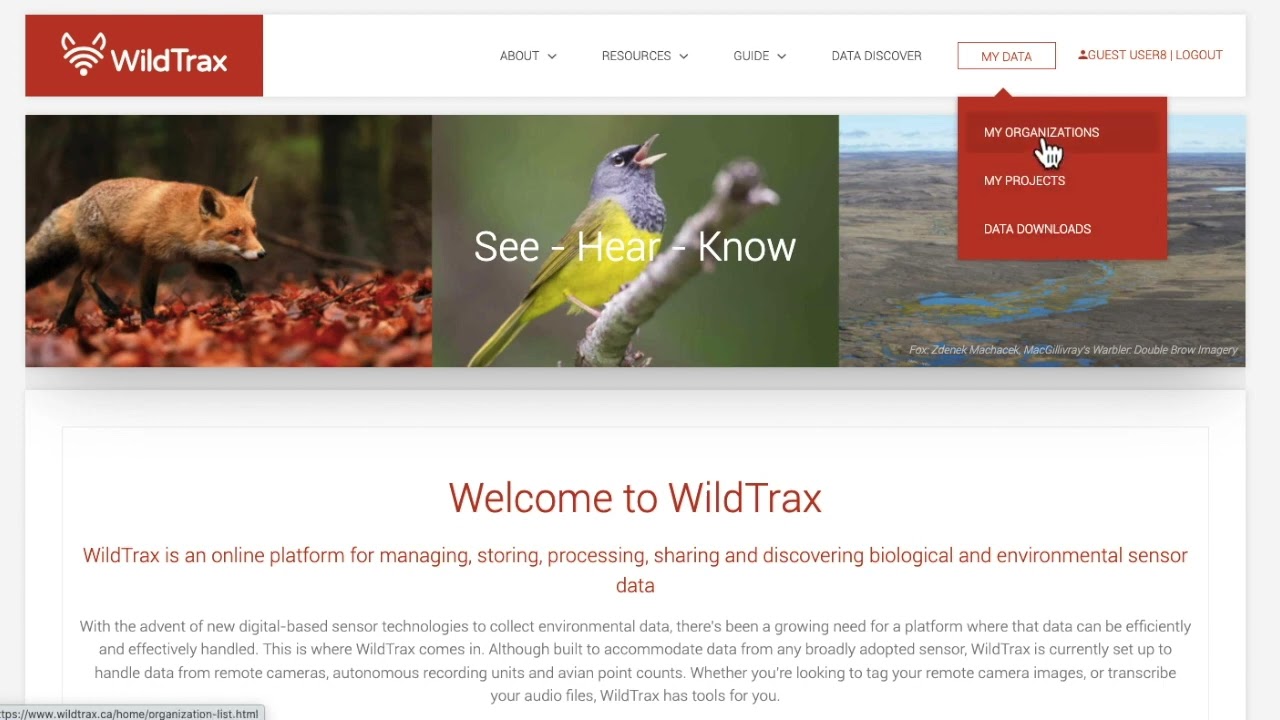 Creating an organization in WildTrax // Comment créer une organisation dans WildTrax