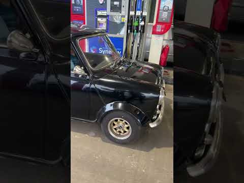 1986 austin mini