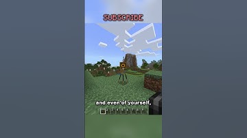 The Secret Items Of Minecraft.