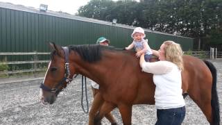 Pony riding