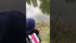 Sazan avı NefesLider Balıkta  #kentpark #balık #fishing #alabalıkavı #sazan #yakışıklı