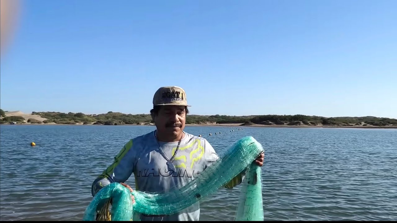 @ElGatoParadoOficial  madrugamos al mar y volvimos a la plaza del musico