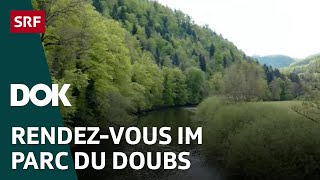 Naturpärke der Schweiz - Parc du Doubs (3/5) | DOK | SRF