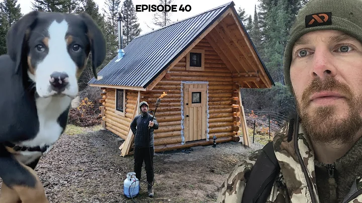 Log Cabin Build on Off-Grid Homestead |EP40| Woodshed, Shou Sugi Fire Preservation
