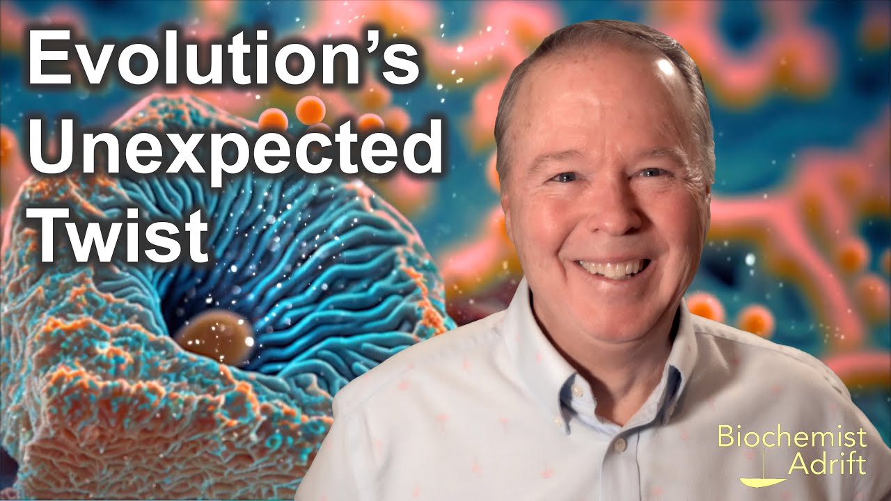 Evolution's Unexpected Twist YouTube
