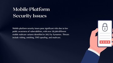 E-COMMERCE SECTION 2 CHAPTER 4 SUMMARY( E-COMMERCE SECURITY AND PAYMENT SYSTEMS )