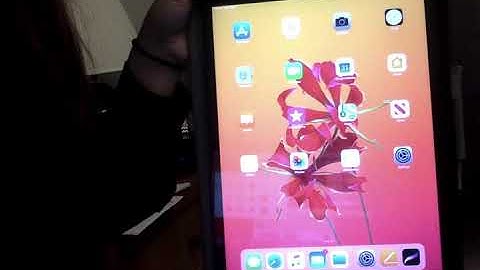 A&P II - Lab 1 -  Endocrine System