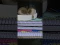 motivational shorts #ytshorts # study motivational #shorts #explore life