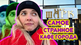 Кафе SHARK: откуда ЭТО в Калининграде?!