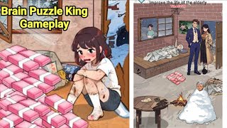 Brain Puzzle King Game Gamplay screenshot 2