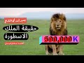 القصه الكامله للاسطوره سكارفيس ملك الاسود .. من اول ما اتولد لحد ما مات .. اشهر اسد في التاريخ 2021