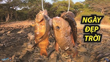 Thái Phú Quốc 📹Một Ngày Đẹp Trời ...!!!