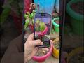 I phone 15 camera test #reels #smartphone #zoomtest #shortvideo #instareels 😎💫📱🌎