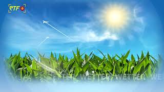 RTF.1-Wetter 19.10.2026